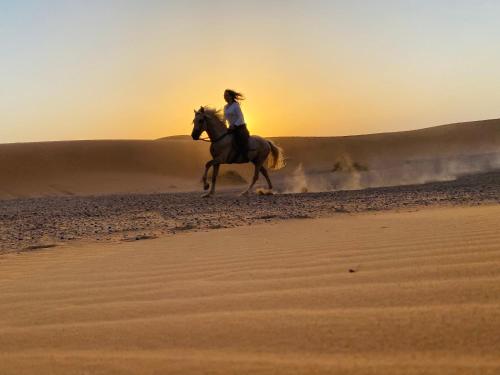  horse riding in merzouga 
