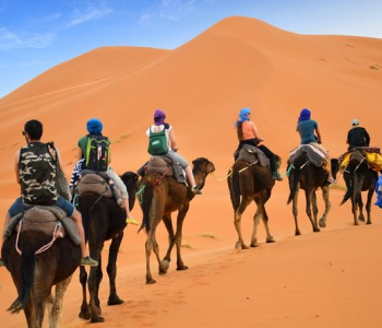  Camel Treeking in Merzouga 