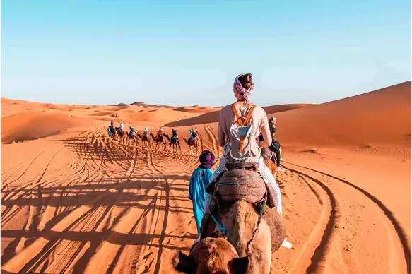 Sahara Desert Camel Ride and Camp Adventure in Morocco