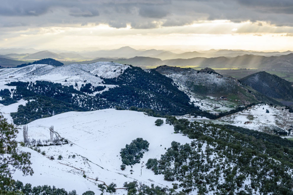 Explore the charming town of Ifrane, known for its alpine architecture, beautiful gardens, and proximity to the Middle Atlas Mountains in Morocco