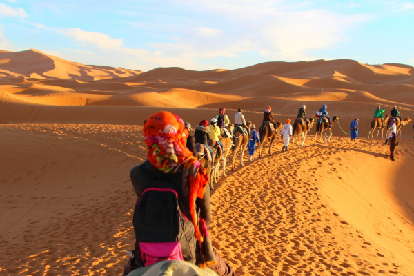 camel tricking in Morocco